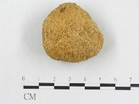 登錄號:F0012527藏品圖，第1張