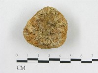 登錄號:F0012527藏品圖，第3張
