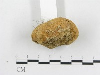 登錄號:F0012527藏品圖，第4張