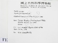 登錄號:F0012528藏品圖，第2張