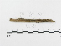 登錄號:F0012529藏品圖，第3張