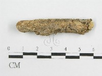 微皮傘屬藏品圖，第4張