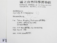 微皮傘屬藏品圖，第2張