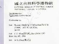 登錄號:F0012532藏品圖，第2張