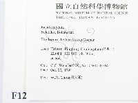 登錄號:F0012533藏品圖，第2張