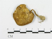 登錄號:F0012533藏品圖，第3張