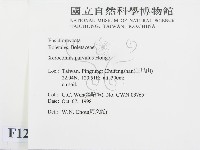 登錄號:F0012534藏品圖，第2張