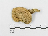 登錄號:F0012534藏品圖，第1張