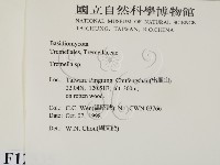 銀耳屬藏品圖，第2張