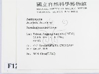 登錄號:F0012536藏品圖，第2張