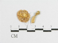 登錄號:F0012536藏品圖，第1張