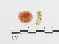 登錄號:F0012536藏品圖，第3張