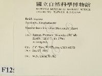 登錄號:F0012537藏品圖，第2張