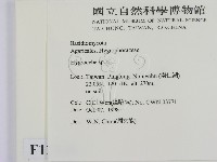 濕傘屬藏品圖，第2張