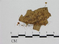 登錄號:F0012539藏品圖，第1張