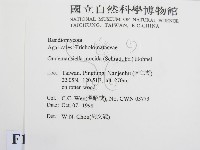 登錄號:F0012540藏品圖，第2張