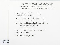 登錄號:F0012542藏品圖，第2張