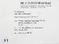 登錄號:F0012543藏品圖，第2張