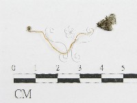 登錄號:F0012543藏品圖，第1張