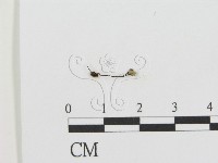 登錄號:F0012544藏品圖，第1張