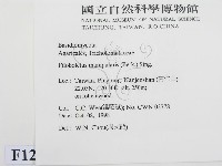 登錄號:F0012545藏品圖，第2張