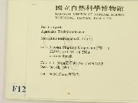 登錄號:F0012546藏品圖，第2張