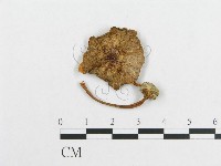 登錄號:F0012547藏品圖，第3張
