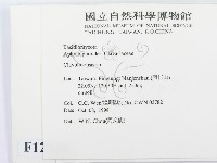 登錄號:F0012549藏品圖，第2張