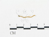 登錄號:F0012549藏品圖，第1張