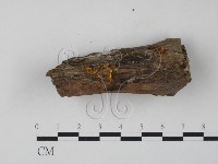 登錄號:F0012551藏品圖，第3張