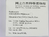 相鄰小孔菌藏品圖，第2張