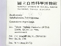 優雅波邊革菌藏品圖，第2張