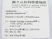 登錄號:F0012558藏品圖，第2張