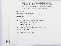 登錄號:F0012559藏品圖，第2張
