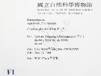 登錄號:F0012562藏品圖，第2張