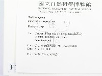 登錄號:F0012563藏品圖，第2張
