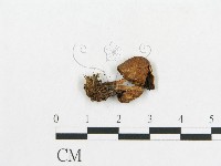 登錄號:F0012563藏品圖，第3張