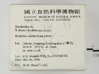 登錄號:F0012564藏品圖，第2張