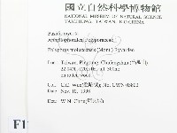 登錄號:F0012565藏品圖，第2張