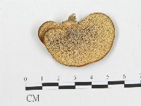 登錄號:F0012565藏品圖，第1張