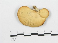 登錄號:F0012565藏品圖，第3張