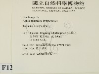 登錄號:F0012566藏品圖，第2張