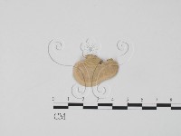 登錄號:F0012566藏品圖，第3張