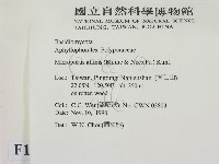 相鄰小孔菌藏品圖，第2張