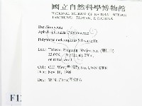 登錄號:F0012568藏品圖，第2張