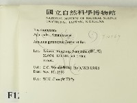 登錄號:F0012569藏品圖，第2張