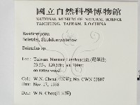 登錄號:F0012570藏品圖，第2張