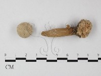 登錄號:F0012571藏品圖，第1張