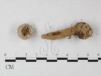 登錄號:F0012571藏品圖，第3張