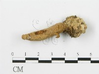 登錄號:F0012571藏品圖，第4張